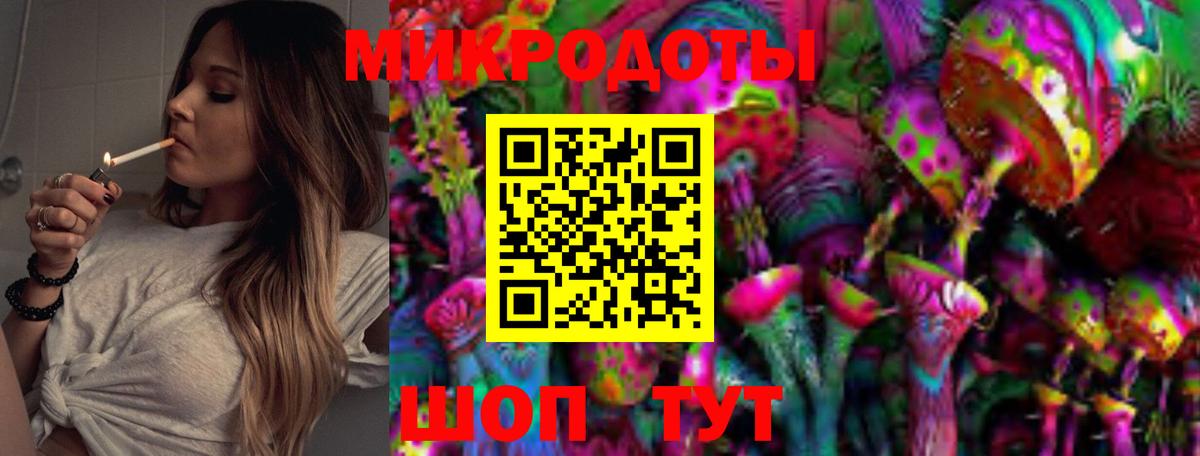 Псилоцибиновые грибы Psilocybe Грязи