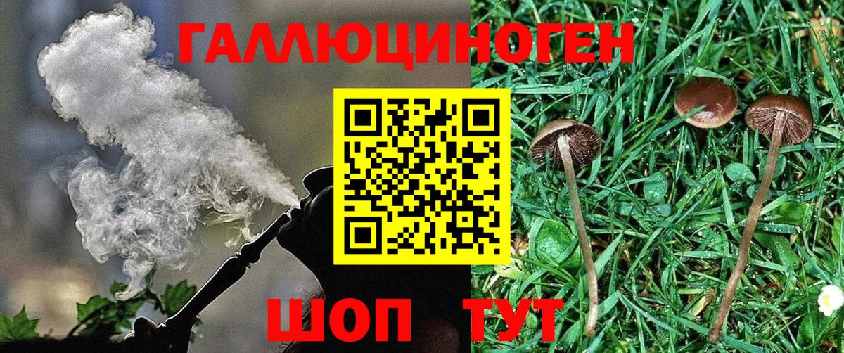 Грязи  Галлюциногенные грибы прущие грибы  Вход с VPN 